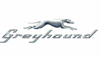 greyhound